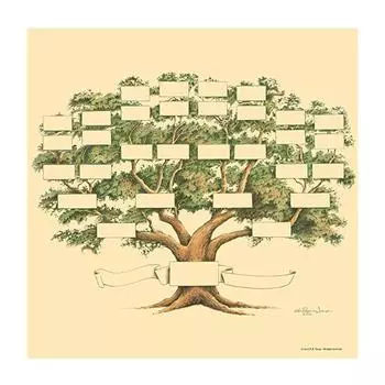 Генеалогическое древо. Генеалогическое древо на 6 поколений для истории семьи и родословной.