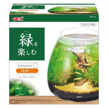 GEX AQUARIUM Glass Aqua Aquarium Small Aquarium Aquatic Plants Terrarium Tier-N