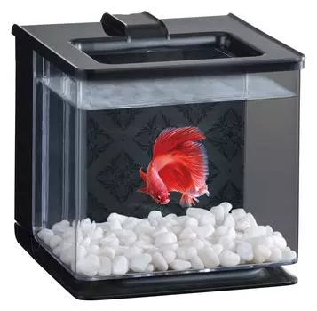 GEX AQUARIUM Raku Aqua Black Компактный аквариум для разведения бетта, простая замена воды, Ш16 x Г17 x В16 см, прибл.. 2,1 л