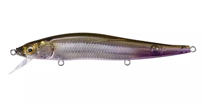 GH110 FA Ghost Smelt