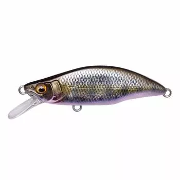 GH46 HUMPBACK Hunting 46 Takumisake fry Megabass, (Great Humpback) (FS)