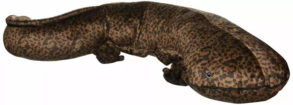 Giant salamander plush toy 63cm