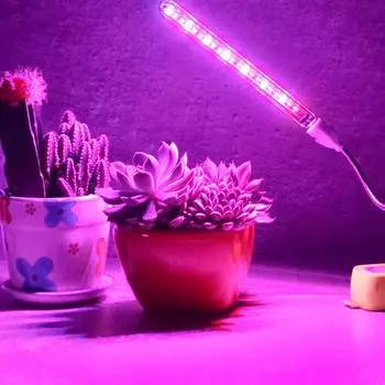 Гибкая лампа для гидропоники в теплицах в помещении