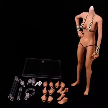 Гибкая женская модель тела в масштабе 1/6 с подставкой и аксессуарами Средняя часть груди General Skin