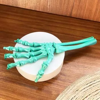 Гибкий Подвижный Сустав Скелет Коготь 3D-Печатная Модель Ладони Человеческого Скелета Учебная Модель