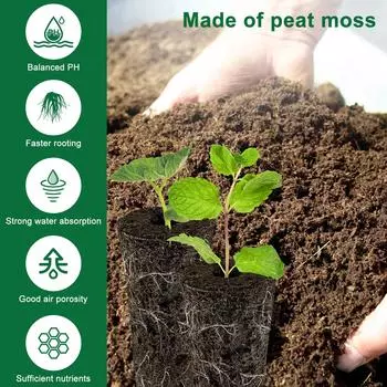 Гидропонный рост семян губки Семена губки Овощная гидропоника Система выращивания Посев Стручок губки Беспочвенное выращивание Посадка