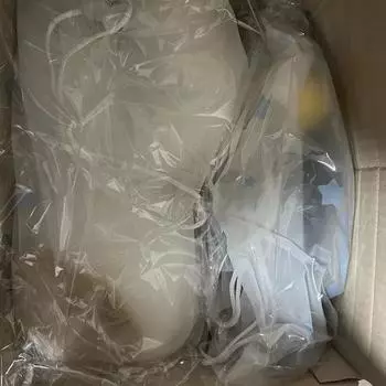 Гигантский 40-сантиметровый дракон запечатан