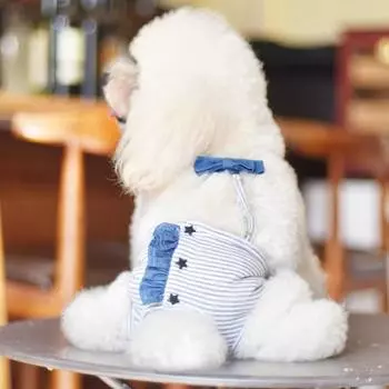 Гигиенические штаны для собак, полосатый дизайн, дышащие эластичные физиологические штаны против преследования домашних животных для сук S