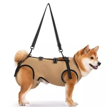 GIIPET Dog Care Dog Walking Assistance Adjustable Easy to Put On and Take For Elderly After Small Medium Front Rear Legs Comfortable Convenient for