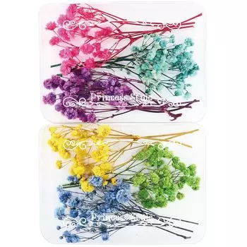 Гипсофила цветущая сухоцвет аксессуары части для ручной работы подразделенные цветочные материалы 6 принцесса-стиль цвета/набор