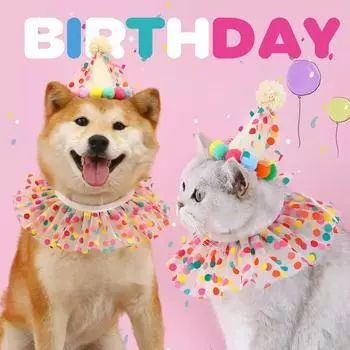 Girl Dog Birthday Hat Bandana kit Princess Puppy Kitty Birthday Decorations for Cats Small Dogs Birthday Gift Pet Party Products
