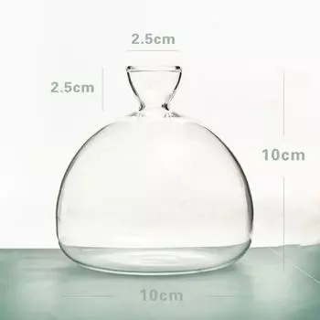 Glass Avocado Vase Hydroponics Aromatherapy Bottle New Seed Starter Vase Gift D