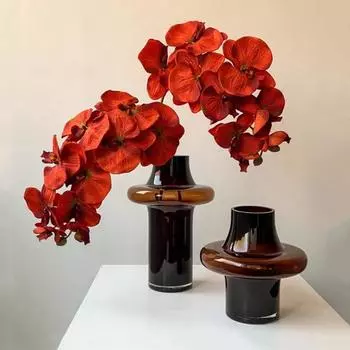 Glass Vase Geometric Arc Shape Transparent Coffee Colored Vase Flower Arrangement Terrarium Home Decoration Accessories