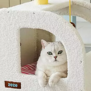 Гнездо для кошек Теплый закрытый домик для кошек Кровати-переноски Когтеточки Многофункциональные Мягкие Дышащие Забавный Дизайн Вилла Товары для животных Принадлежности белый