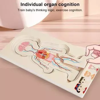 Головоломка «Части тела» Игра-головоломка «5 слоев» Структура человеческого тела Анатомия Головоломка Boy