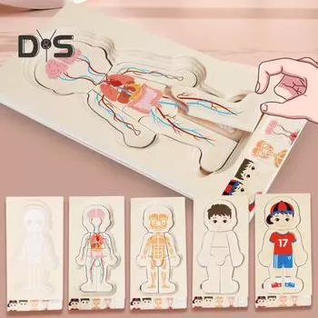 Головоломка «Части тела» Игра-головоломка «Соответствие», 5 слоев, структура человеческого тела, анатомическая головоломка, обучающая детская деревянная головоломка для тела, обучающая игрушка STEM Boy