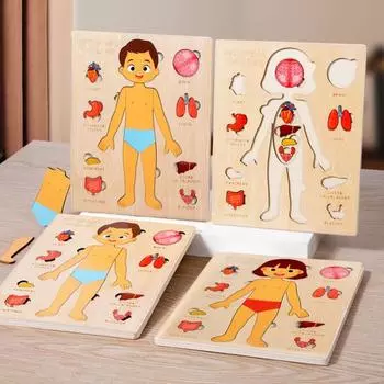 Головоломка «Части тела» Игра-головоломка «Соответствие» Образовательная головоломка «Структура человеческого тела» girl