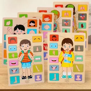 Головоломка «Части тела» Игра-головоломка «Соответствие» Образовательная головоломка «Структура человеческого тела»