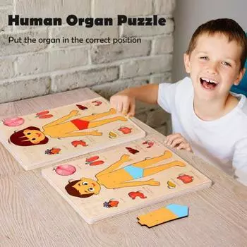 Головоломка «Части тела» Игра-головоломка «Соответствие» Обучающая головоломка «Структура человеческого тела» Анатомия Доска-головоломка для детей Малыши Деревянная обучающая игрушка STEM girl