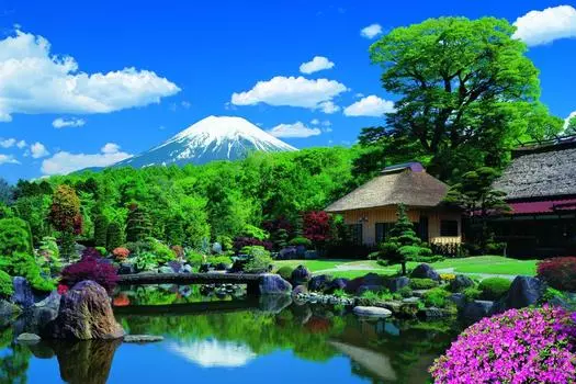 Головоломка из 1000 деталей «Диагностика мощности мозга» Гора Фудзи и Осино. Деревня-Яманаси (50x75cm)