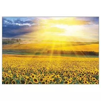 Головоломка Korea Sunset Jigsaw Puzzle 3202 in the Sunflower Field, популярные корейские головоломки
