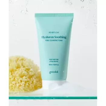 Goodal Hydrangea Hyaluronic Soothing Pore Cleansing Foam Model FREE