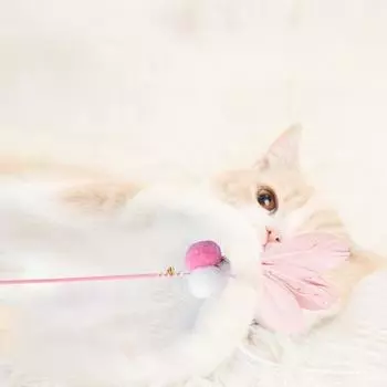 Горячие продажи игрушек для кошек Новая палочка для щекотки Фея Перо-колокольчик Милая кошка специальная ручная палочка для щекотки домашних животных товары для животных