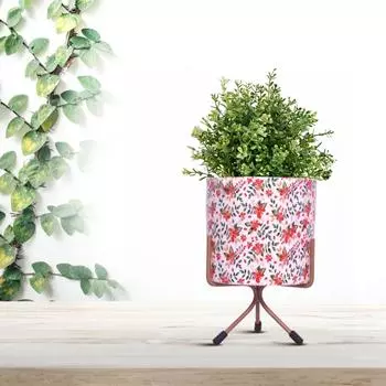 Горшки для растений, горшки для растений для украшения дома, горшок для суккулентов, комнатный декор для сада: Розовое дерево Сияние