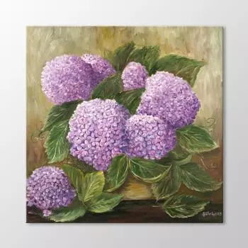 Гортензия Цветочная Живопись