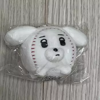 Государственная должность - это работа работа Aespa кукла Винтер