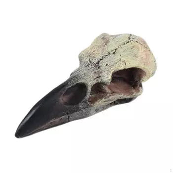 Готическое ожерелье с черепом ворона для домашнего декора на Хэллоуин 60mmx28mmx22.5mm