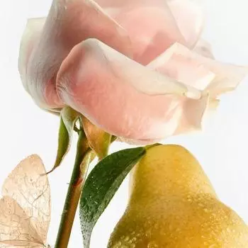 Goutal Paris Petit Cherie Парфюмированная вода-спрей 100мл