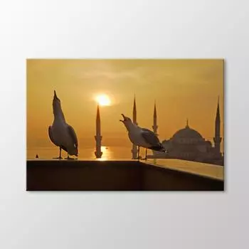 Говорящие чайки за столом