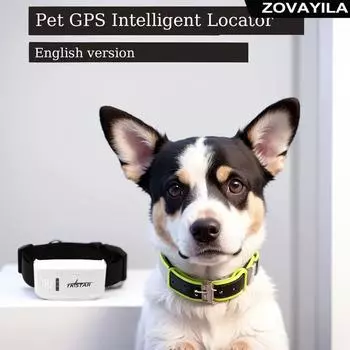 GPS-трекер для кошек и собак, умный ошейник, определение местоположения и активности, неограниченный диапазон, онлайн-отслеживание домашних животных standard