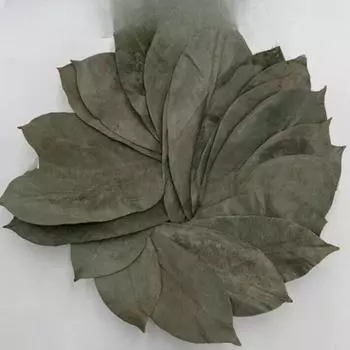 GRAVIOLA LEAF 100г Дикого урожая Сметанное яблоко с заварным кремом Annona Muricata