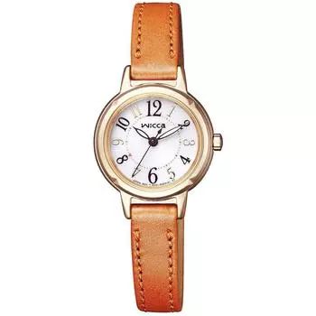 Гражданин WICCA KP3-627-10