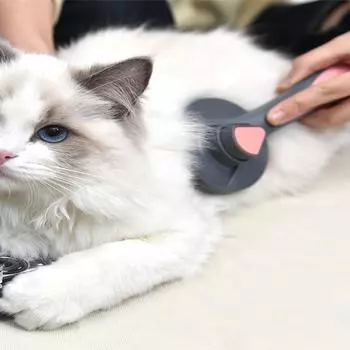 Гребень для кошек и собак Гребень для кошек и собак Щетка для шерсти Ряд игл из нержавеющей стали Специальный инструмент для чистки домашних животных Косметические средства розовый