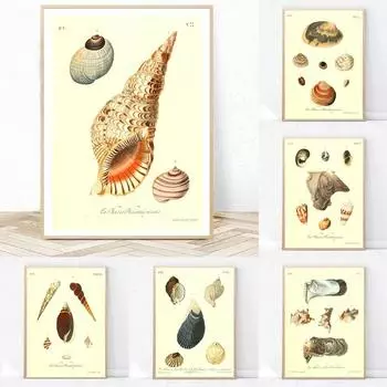Гребешок Раковина Устрица Моллюск Анатомия Рукопись Винтаж Плакат Печать Холст Искусство Украшения Стены Домашние Картины Для Гостиной 21*30cm