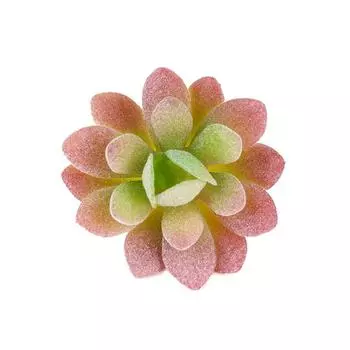 Green Plants Succulents, Small Gem Flowers, Office, Decorative Succulents Green Plants Flowers Simulation Succulents