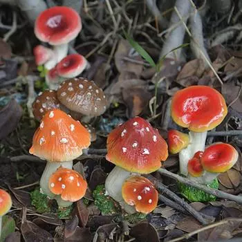 Грибы из смолы Поделки Садовые украшения Аксессуары Мини-украшения DIY Суккулентные растения Бонсай Фигурки Грибной кукольный домик