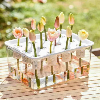 Ящик для выращивания, системный контейнер для посадки, 12 отверстий, практичный ящик для выращивания, белый