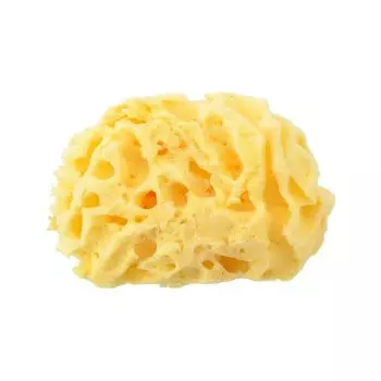 Губка Holbein Natural Coarse 212104 №4 89 см