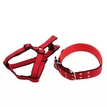 Губка-пена для ошейника для собак S, collar