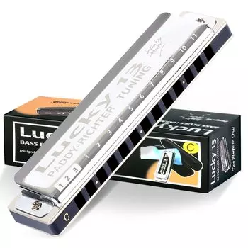 Восток топ Губная гармошка Блюзовая гармошка 13 отверстий До мажор Джаз Профессиональная Взрослые Дети Обучение Практика Латунная крышка Холщовый чехол Lucky13 (PaddyRichter-C)