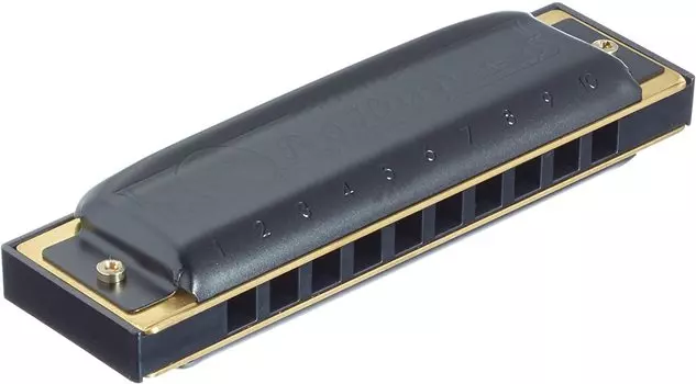 Губная гармошка HOHNER PRO HARPB Pro Harp с 10 отверстиями