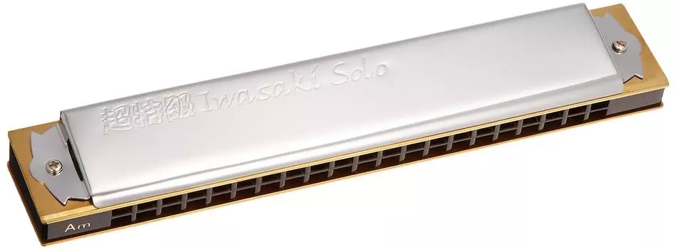 Губная гармошка TOMBO с двумя нотами, суперспециального класса, Iwasaki solo 1921S-Am