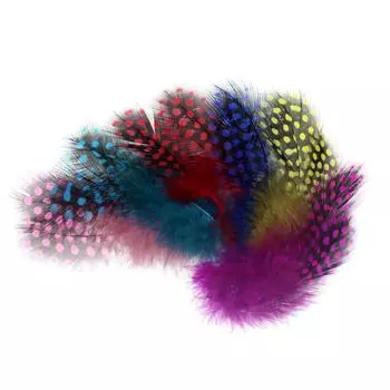 гвинейское перо для привязывания рыбных мух, точечные ошейники, хвостовые надкрылья и щеки, трубка для привязывания мух, материал для связывания мух