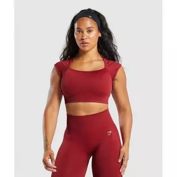Gymshark Adapt Fleck Seamless Crop Top Reps Red Conditioning Red B6a3b Rbyc XS