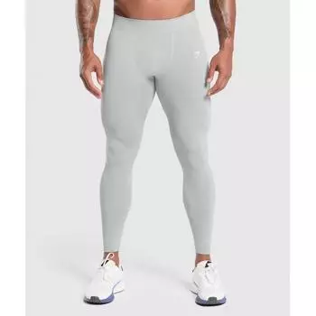 Gymshark Everyday Seamless Baselayer Leggings Silver Grey A1b8z Gcb1 XS