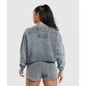 Gymshark Толстовка Collegiate Shadow Washed Midi Asphalt Grey B7a2v Gcsd XS